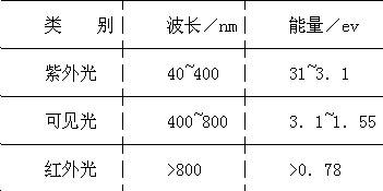 内部精准十二码