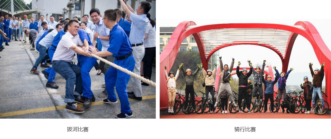 内部精准十二码